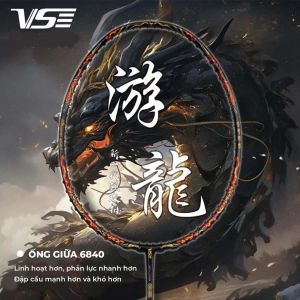 Vợt cầu lông VS Youlong Black